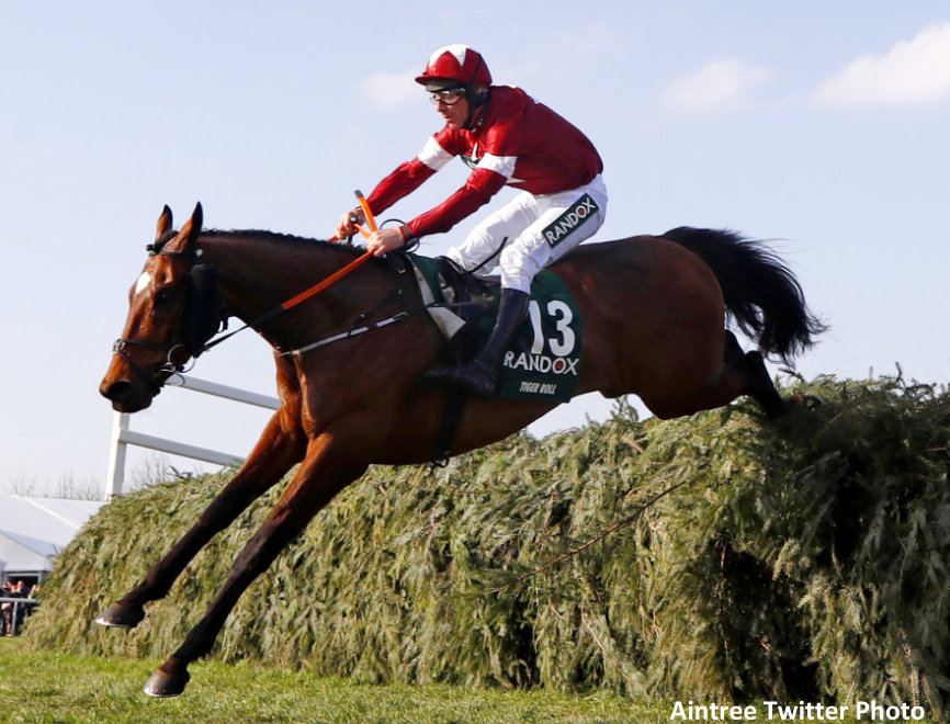 Grand national names of horses 2014 year