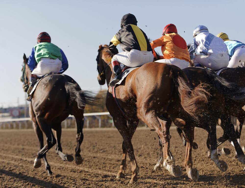 Horse Racing Each Way Meaning